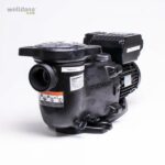 Hayward Max Flo Vari Speed - 169