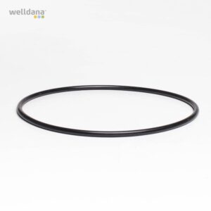 O-ring f. låg 2" topventil Welldana filter