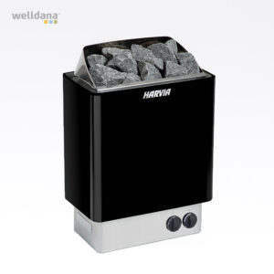 Bastuaggregat Welldana®-S, m/styrenhet