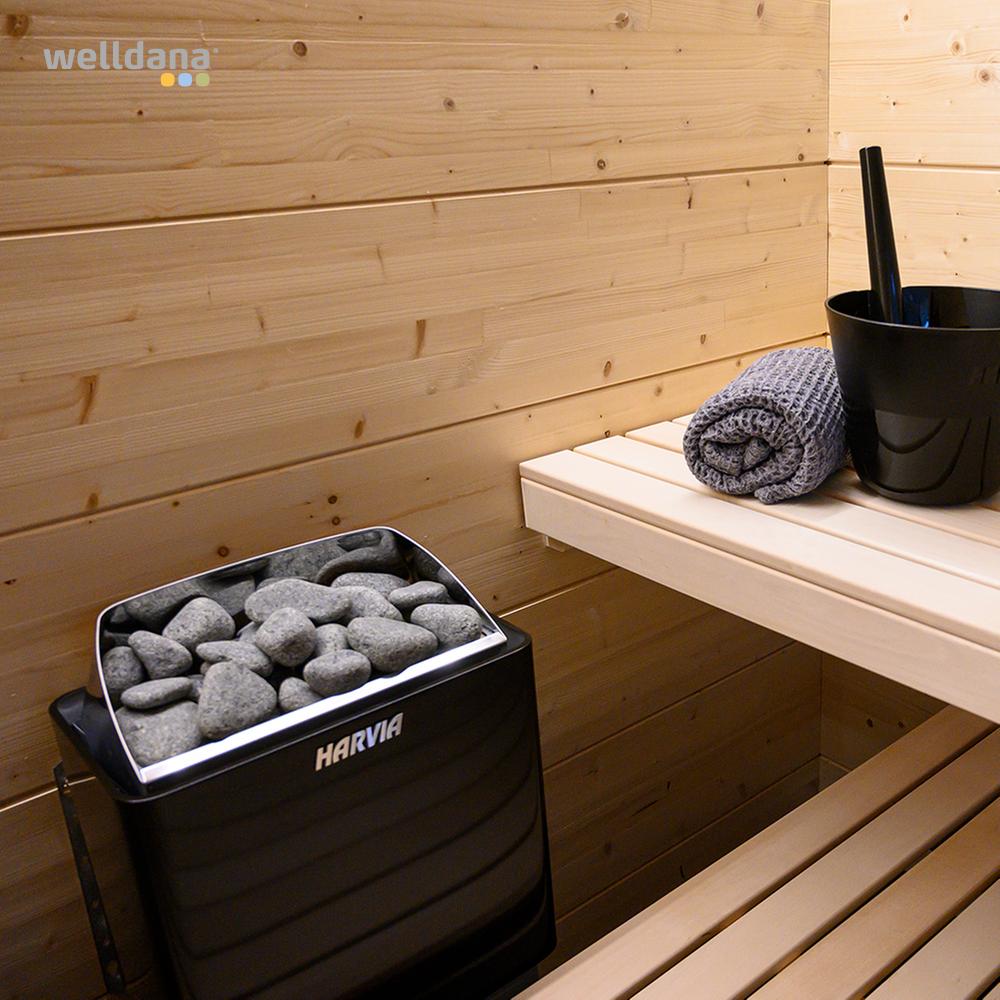 Bastuaggregat Welldana®-S, m/styrenhet - Image 3
